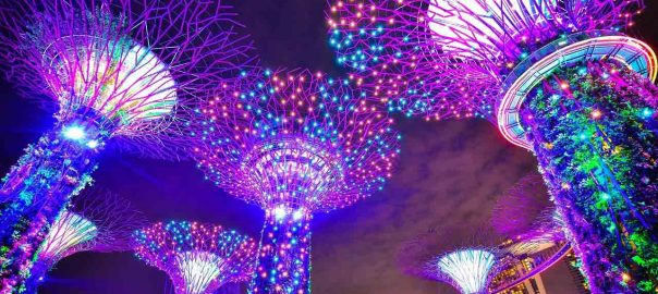 The-Art-of-Illuminating-Your-Trees-with-Exterior-Landscape-Lighting